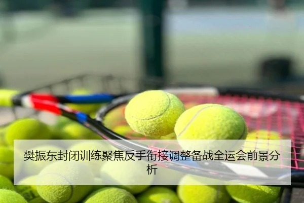樊振东封闭训练聚焦反手衔接调整备战全运会前景分析