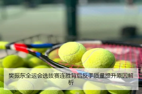 樊振东全运会选拔赛连胜背后反手质量提升原因解析